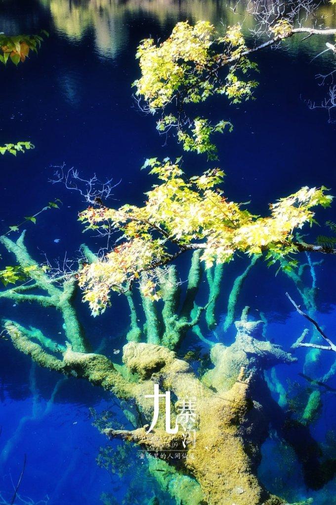 石家庄那里有换小米10手机电池的？游戏画面