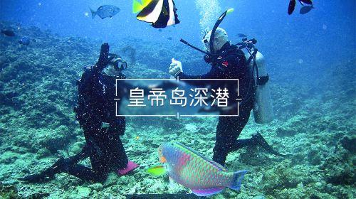 命运之手2