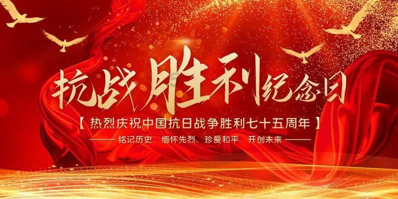 救援受困的小野猫