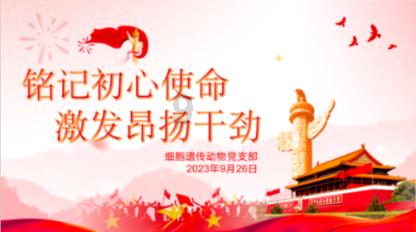 空袭敌营