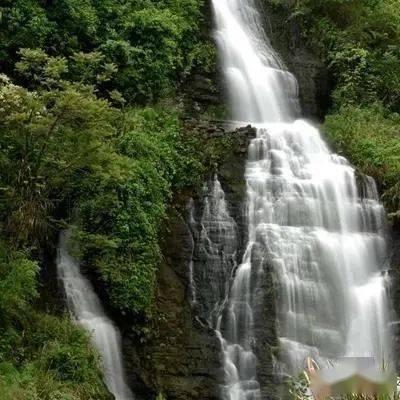 肝气郁结怎么办?