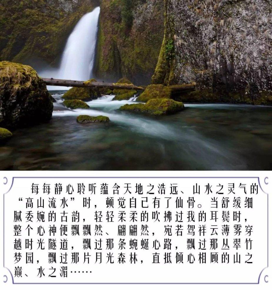 午夜的猎人