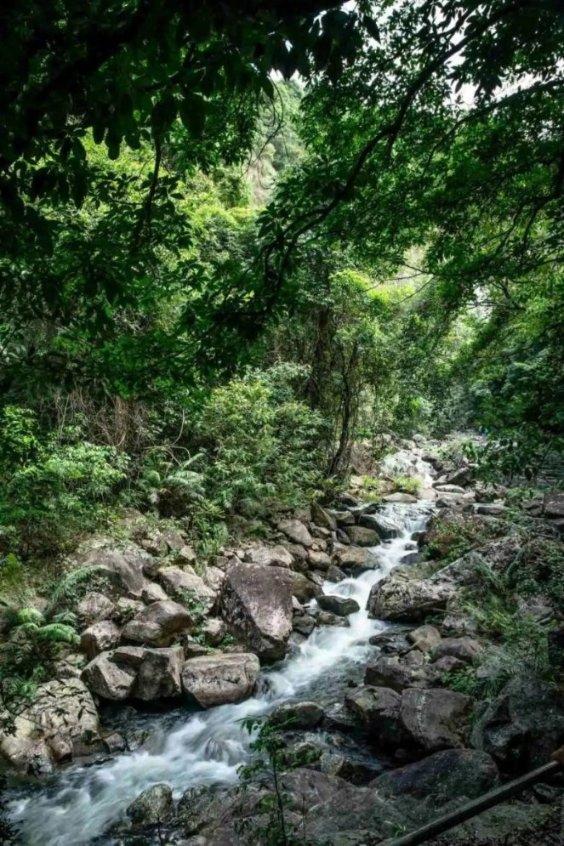 森迪公主夏日度假