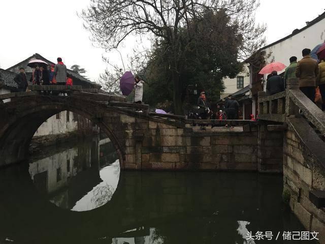逗小猴开心系列211