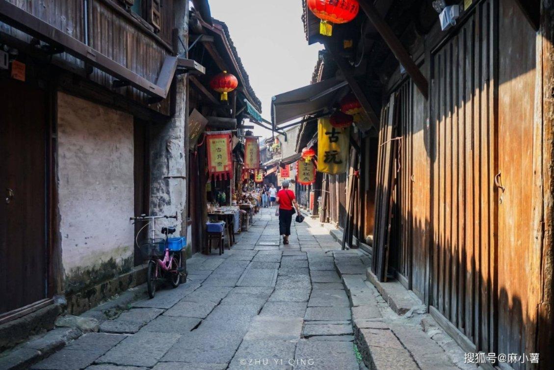 动物帮帮忙保卫家园