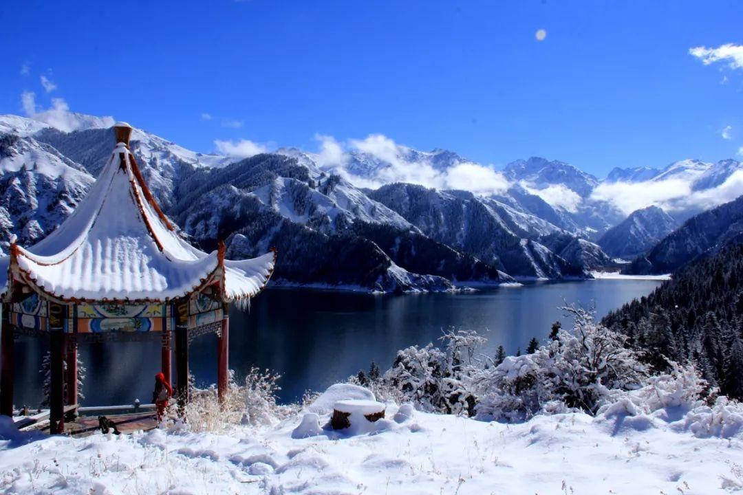 惊弓之鸟属于什么事？